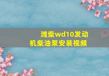 潍柴wd10发动机柴油泵安装视频