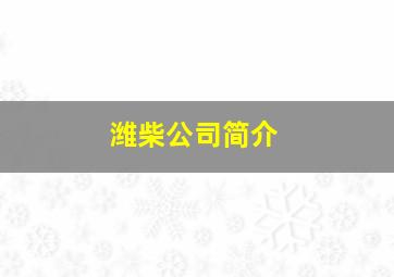 潍柴公司简介