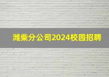 潍柴分公司2024校园招聘