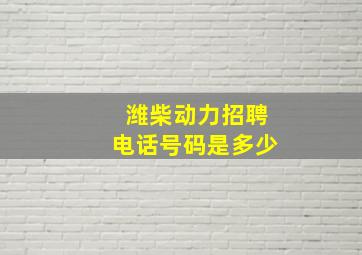 潍柴动力招聘电话号码是多少