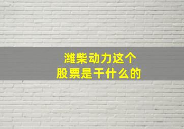 潍柴动力这个股票是干什么的