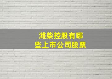 潍柴控股有哪些上市公司股票