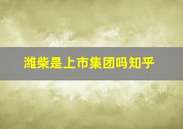 潍柴是上市集团吗知乎