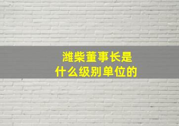 潍柴董事长是什么级别单位的