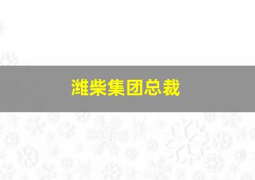 潍柴集团总裁