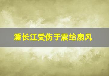 潘长江受伤于震给扇风