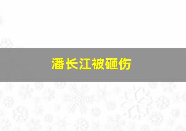 潘长江被砸伤