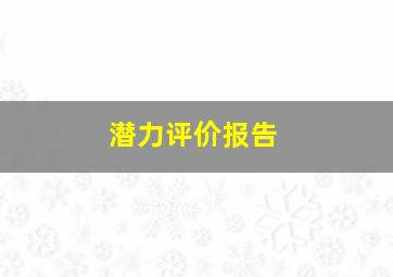 潜力评价报告