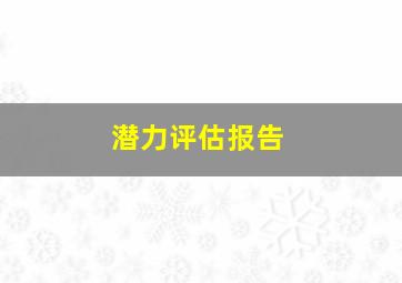 潜力评估报告