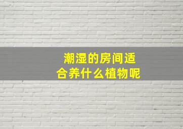 潮湿的房间适合养什么植物呢