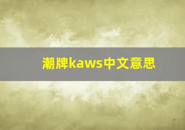 潮牌kaws中文意思