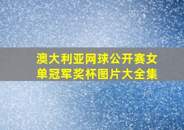 澳大利亚网球公开赛女单冠军奖杯图片大全集