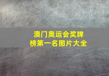 澳门奥运会奖牌榜第一名图片大全