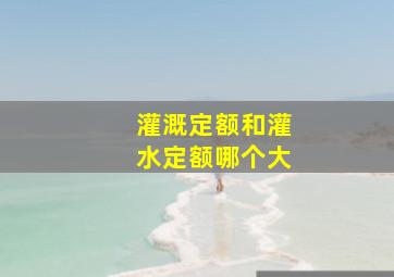 灌溉定额和灌水定额哪个大