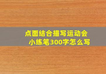 点面结合描写运动会小练笔300字怎么写