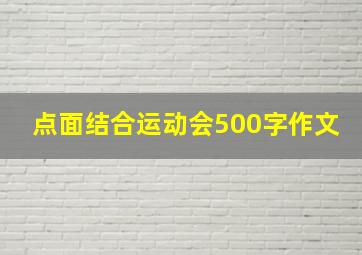 点面结合运动会500字作文