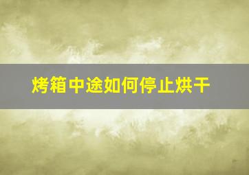 烤箱中途如何停止烘干