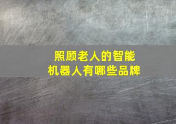 照顾老人的智能机器人有哪些品牌