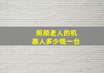 照顾老人的机器人多少钱一台