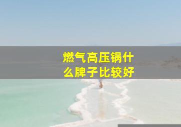 燃气高压锅什么牌子比较好