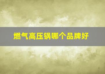 燃气高压锅哪个品牌好