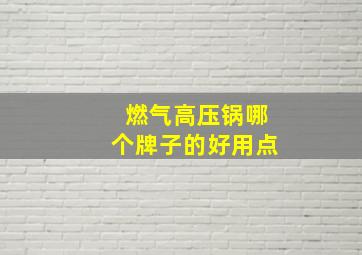 燃气高压锅哪个牌子的好用点