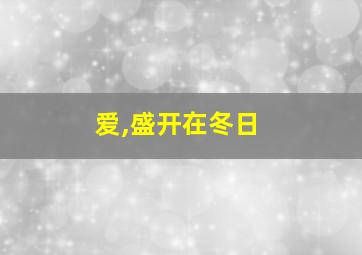 爱,盛开在冬日