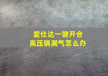 爱仕达一键开合高压锅漏气怎么办