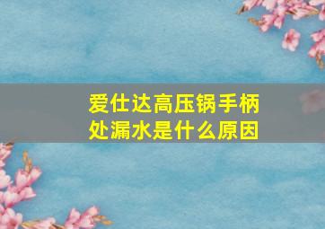 爱仕达高压锅手柄处漏水是什么原因