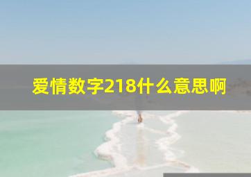 爱情数字218什么意思啊