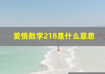 爱情数学218是什么意思