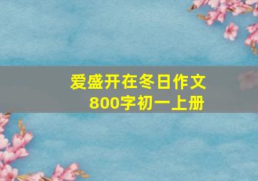 爱盛开在冬日作文800字初一上册