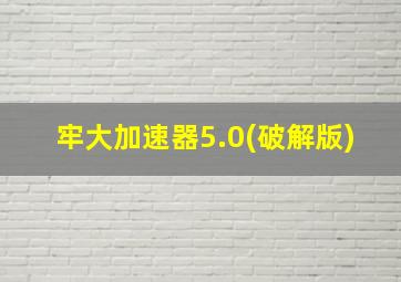 牢大加速器5.0(破解版)