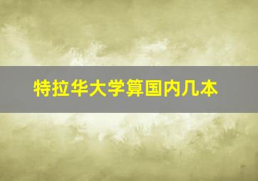 特拉华大学算国内几本