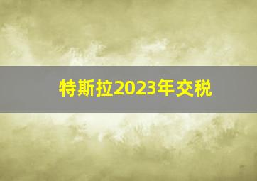 特斯拉2023年交税