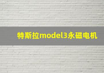 特斯拉model3永磁电机