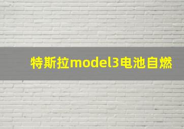 特斯拉model3电池自燃