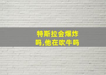 特斯拉会爆炸吗,他在吹牛吗