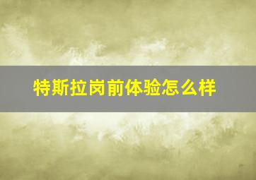 特斯拉岗前体验怎么样