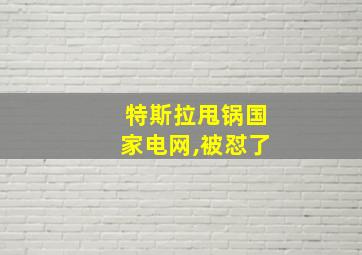 特斯拉甩锅国家电网,被怼了