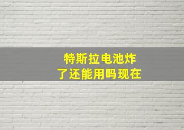 特斯拉电池炸了还能用吗现在