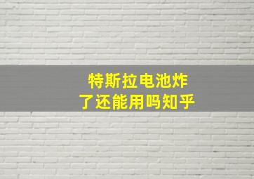 特斯拉电池炸了还能用吗知乎