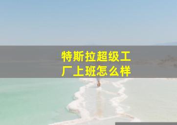 特斯拉超级工厂上班怎么样