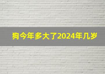 狗今年多大了2024年几岁