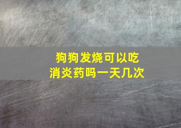 狗狗发烧可以吃消炎药吗一天几次