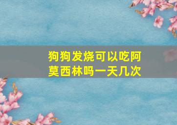 狗狗发烧可以吃阿莫西林吗一天几次