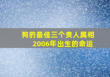 狗的最佳三个贵人属相2006年出生的命运