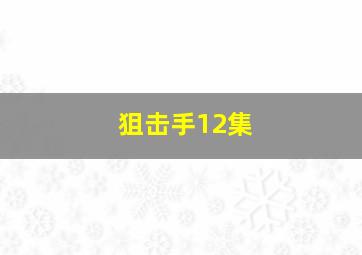 狙击手12集