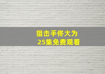 狙击手佟大为25集免费观看