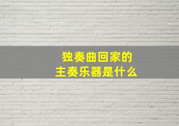 独奏曲回家的主奏乐器是什么